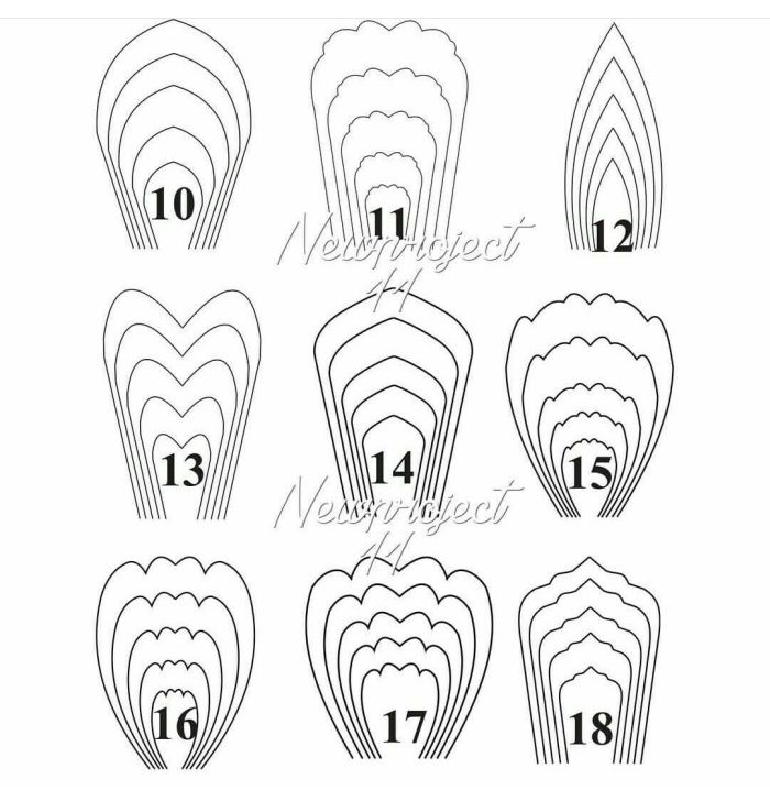 moldes diferentes