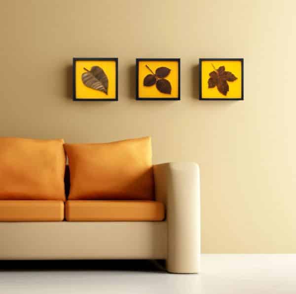 sofa sofa