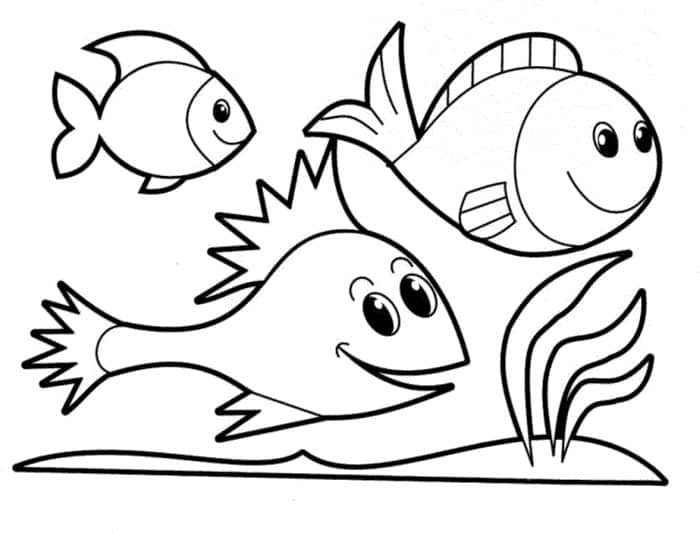 Molde De Peixe Em EVA Para Imprimir Feito Com CD Para Pescaria Para 