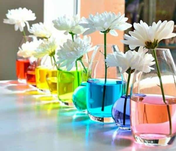 Vasos decorativos com água colorida