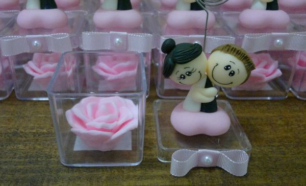 rosa rosa
