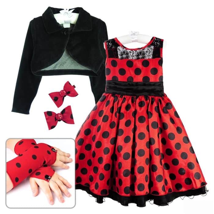 a roupa de ladybug