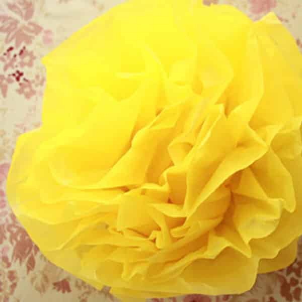Flor de tnt amarela