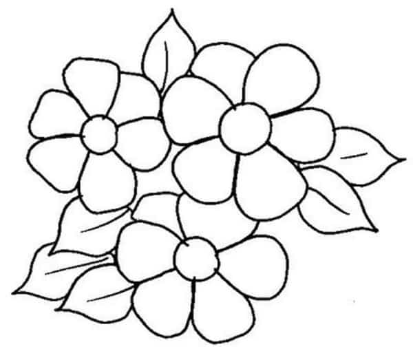 Flores