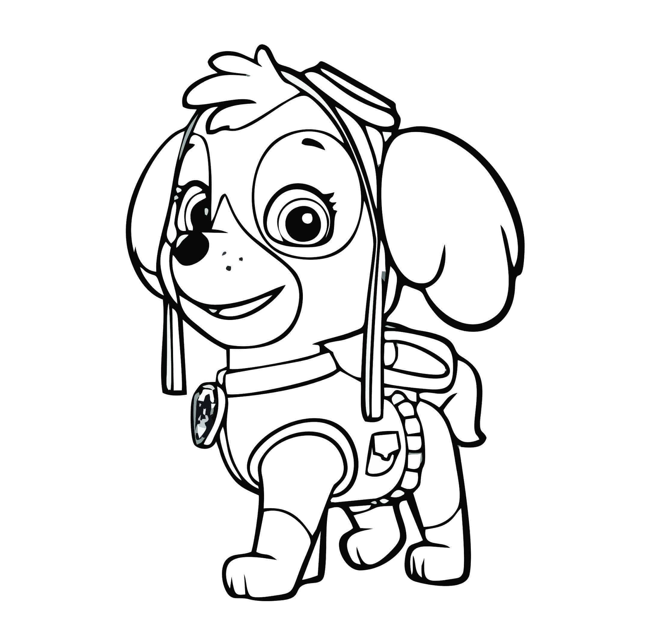 Desenho e Imagem Patrulha Canina Skye Bonitinho para Colorir e Imprimir  Grátis para Adultos e Crianças 