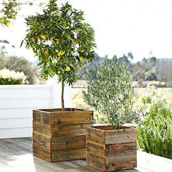 madeiras para decoração de jardim
