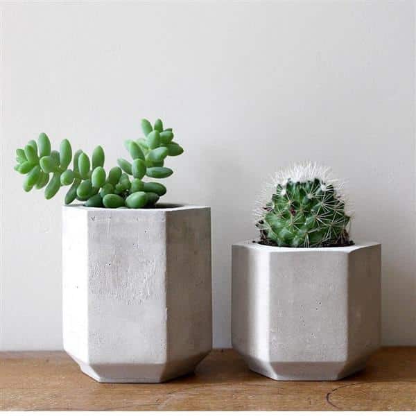 vaso de cimento com mini plantas