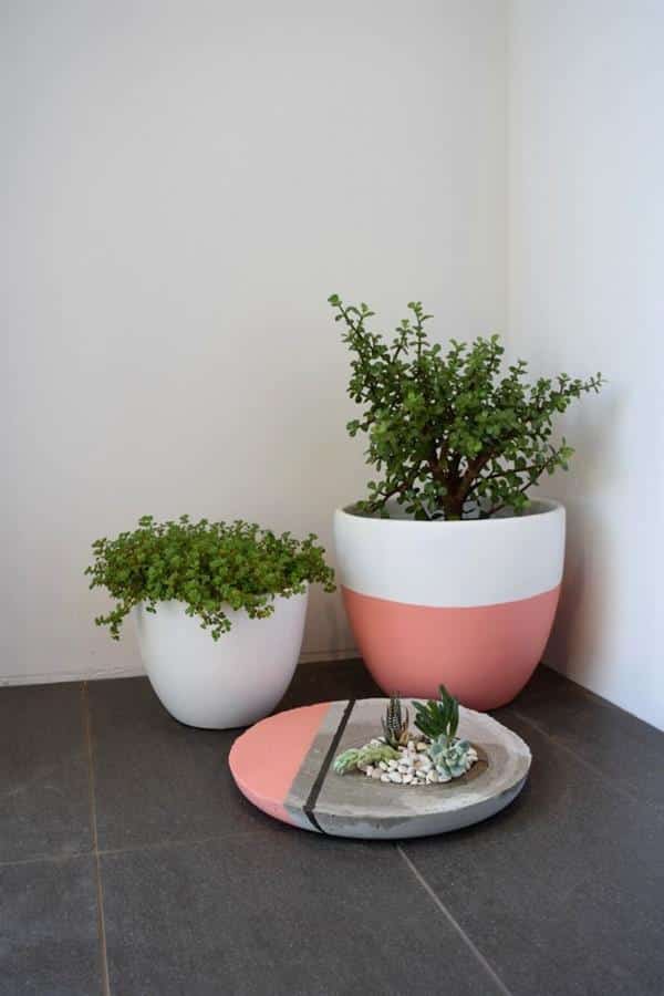 vasos de cimento para plantas