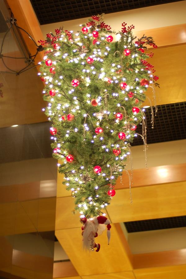 arvore de natal suspensa invertida