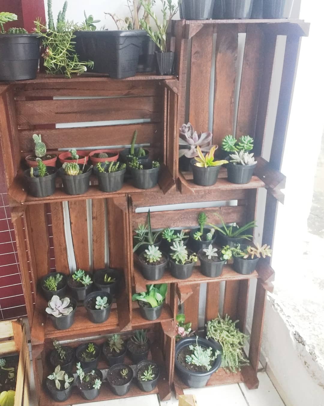 caixotes para colocar plantas