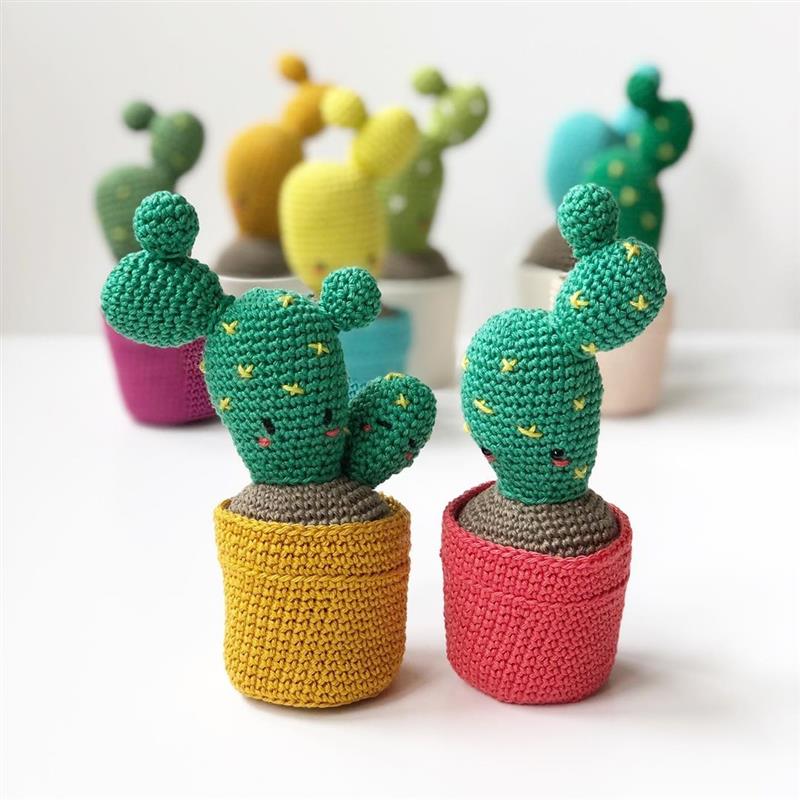 mini cactos com vasinhos coloridos