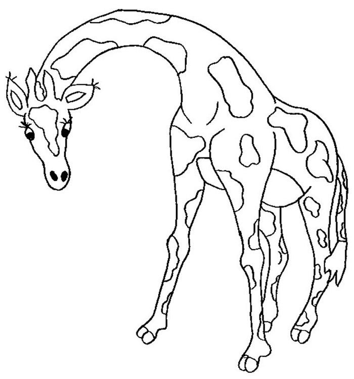 desenho de girafa passo a passo