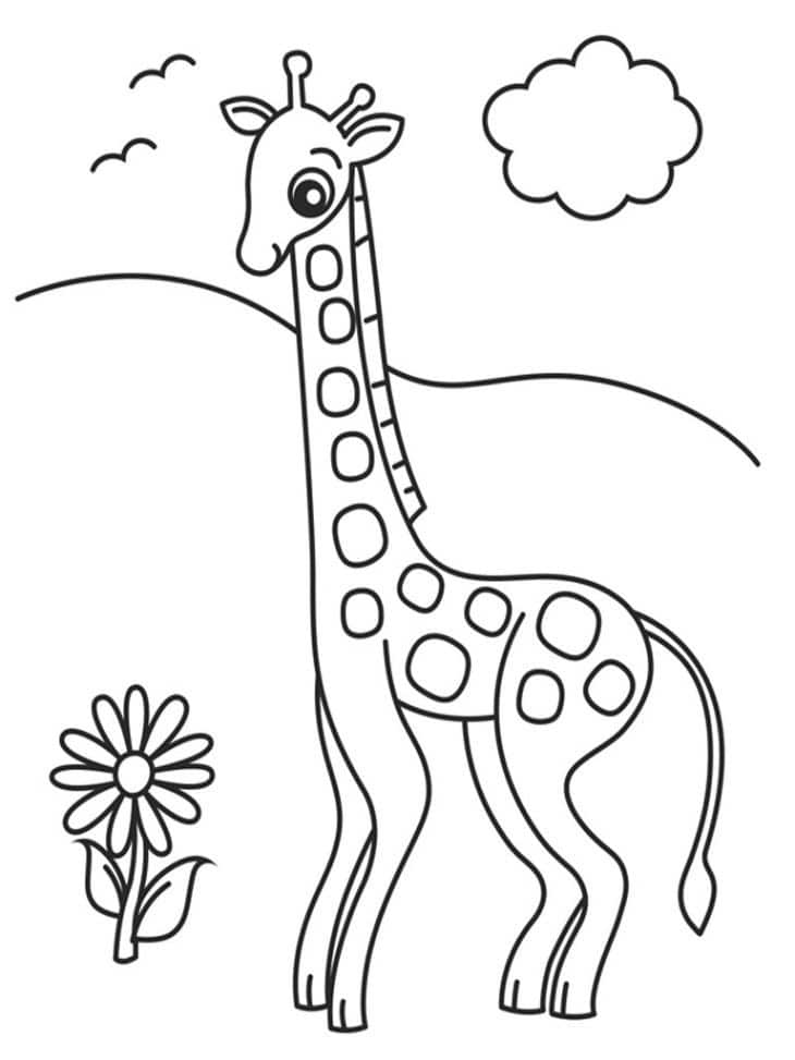 desenho de girafa para desenhar