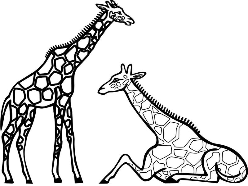 desenho de girafa sentada