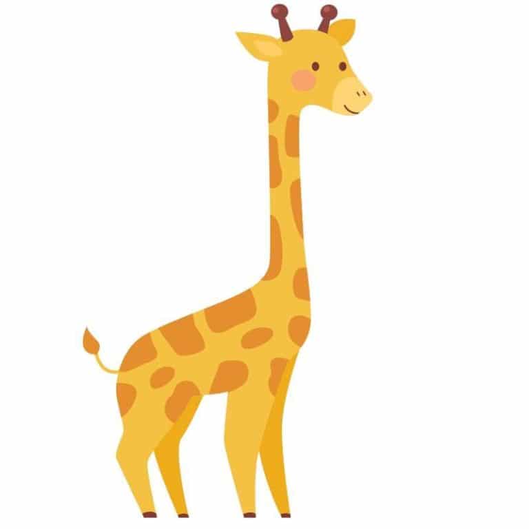 Desenho de girafa: 35 imagens para colorir e já coloridas para imprimir ...