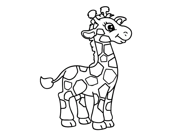 girafa pequena