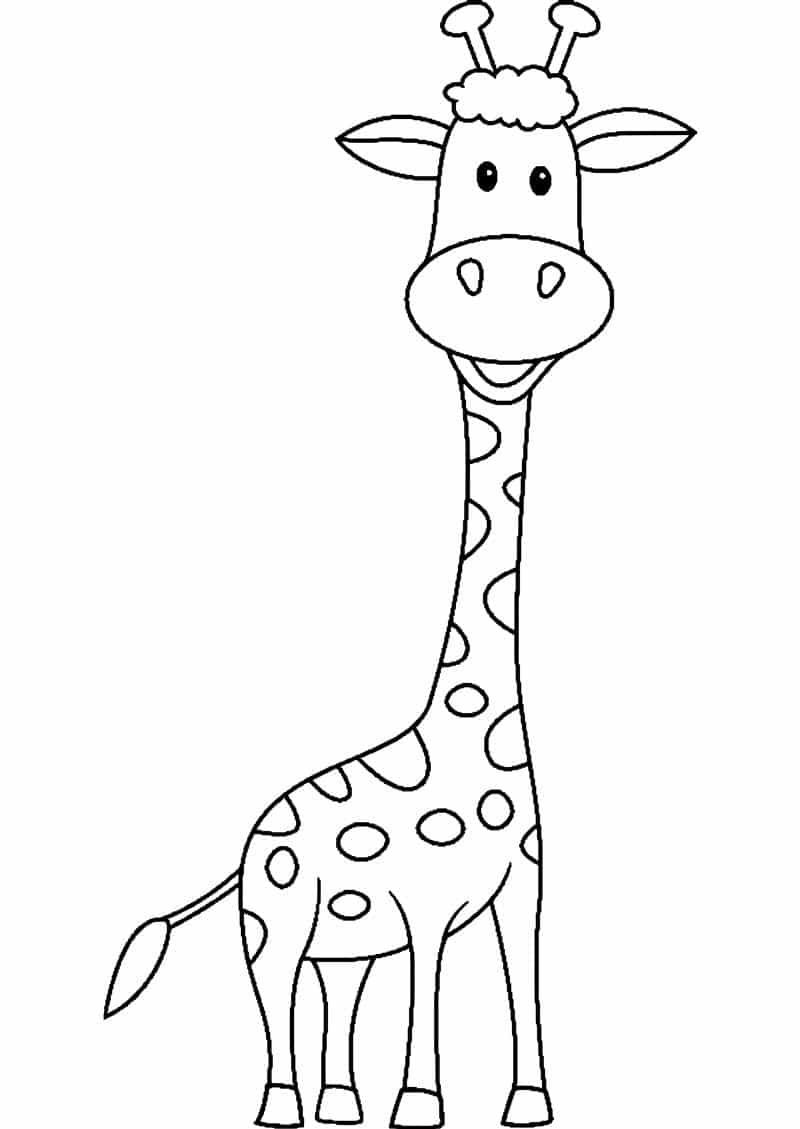 desenho de girafa fofa