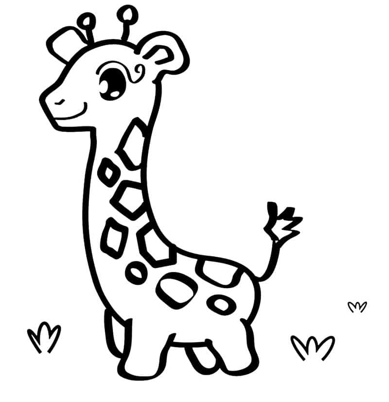 girafa baby
