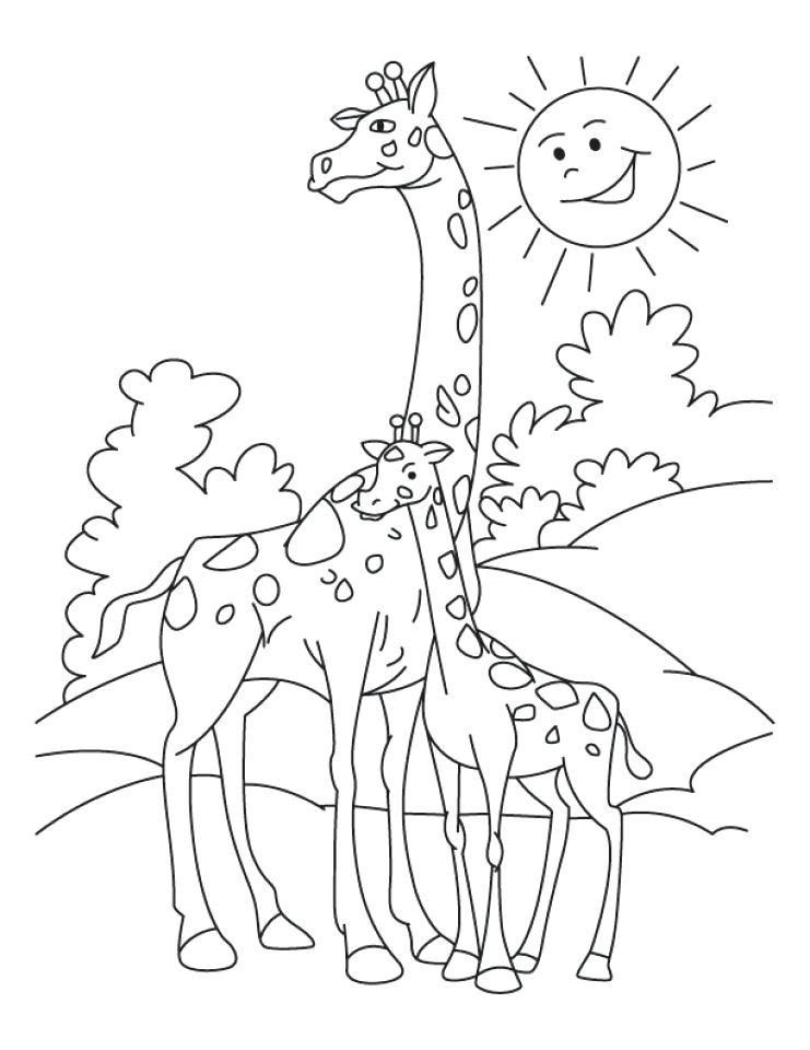 desenhos de girafas