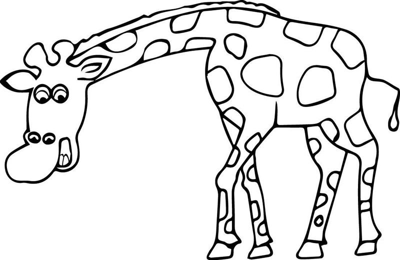 desenho de girafa facil