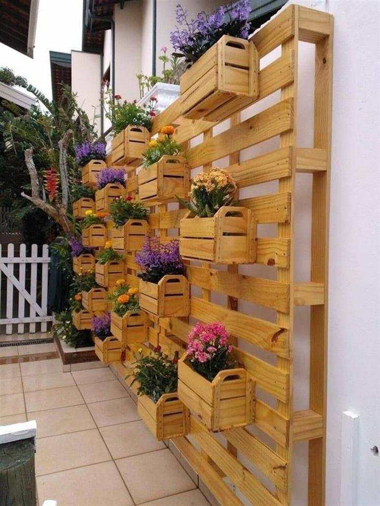 Parede de paletes com plantas