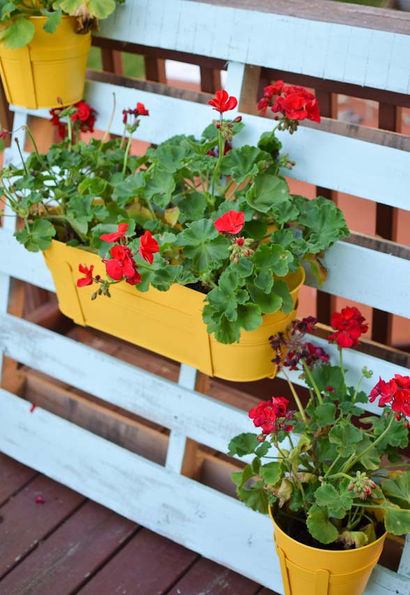 vasinhos de flores pendurados