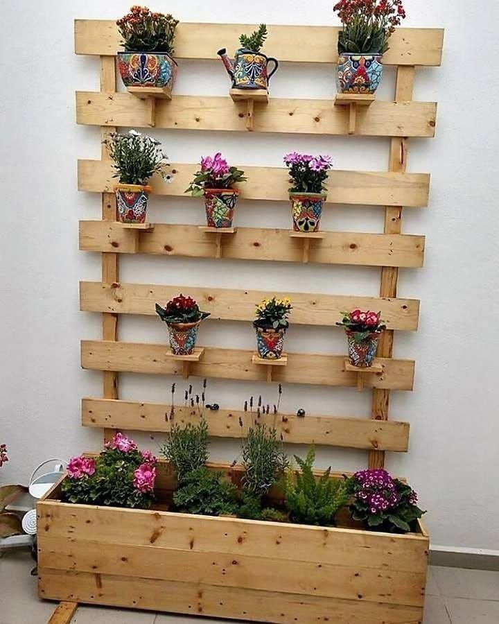 plantas na decoração da parede