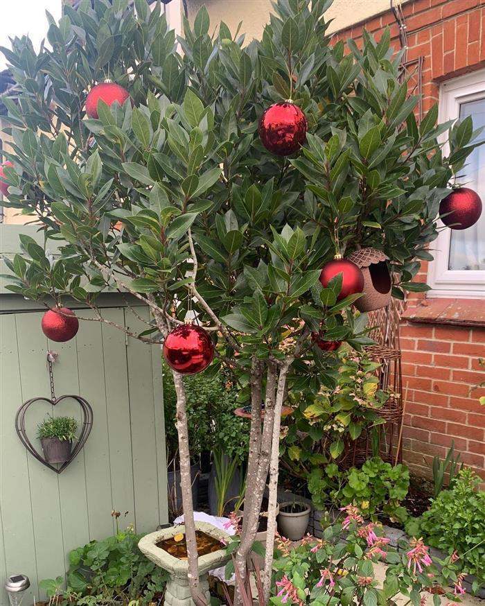 arvore de natal decorado com bolinhas