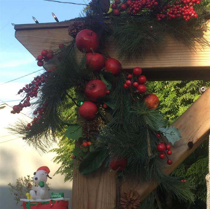 decoração de natal com frutas