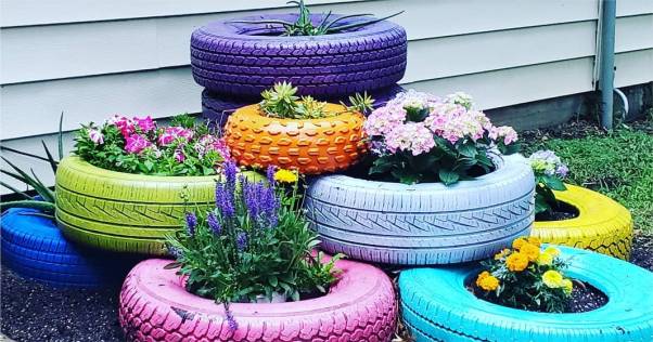 pneus no jardim com plantas