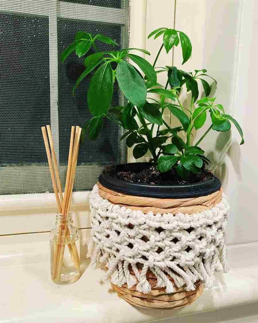 macrame lindo para vasos 