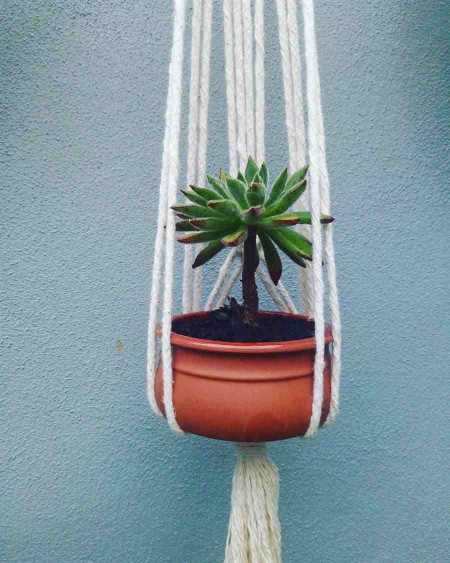 macrame para vasos pequenos