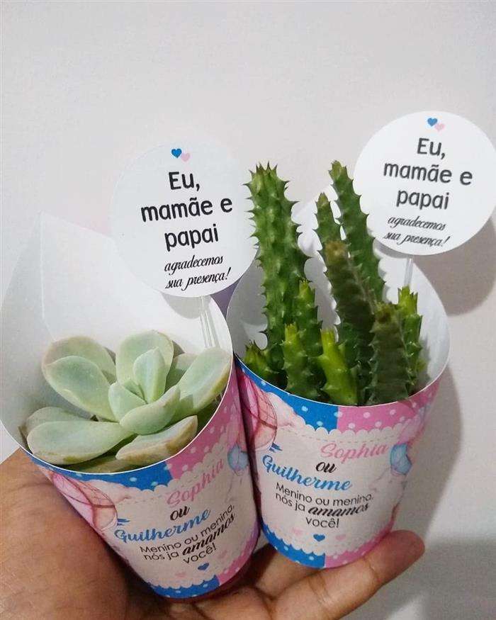 plantinhas-para-cha-de-bebe