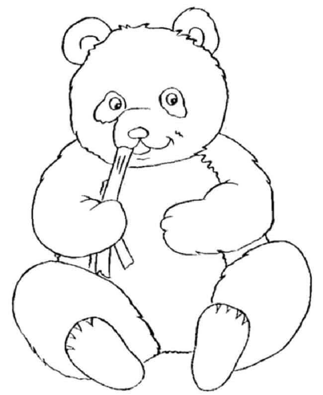 ursinho panda para pintar
