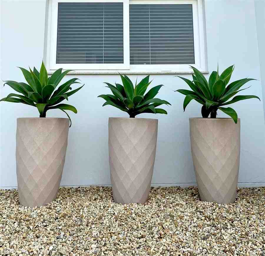 Jardim com vasos de plantas