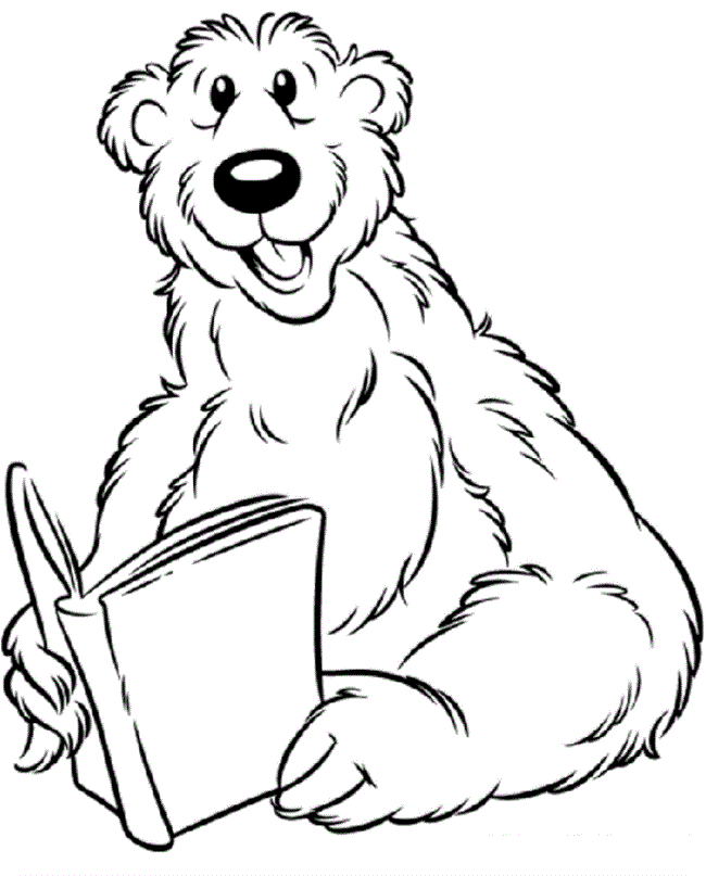 urso com livro na mão