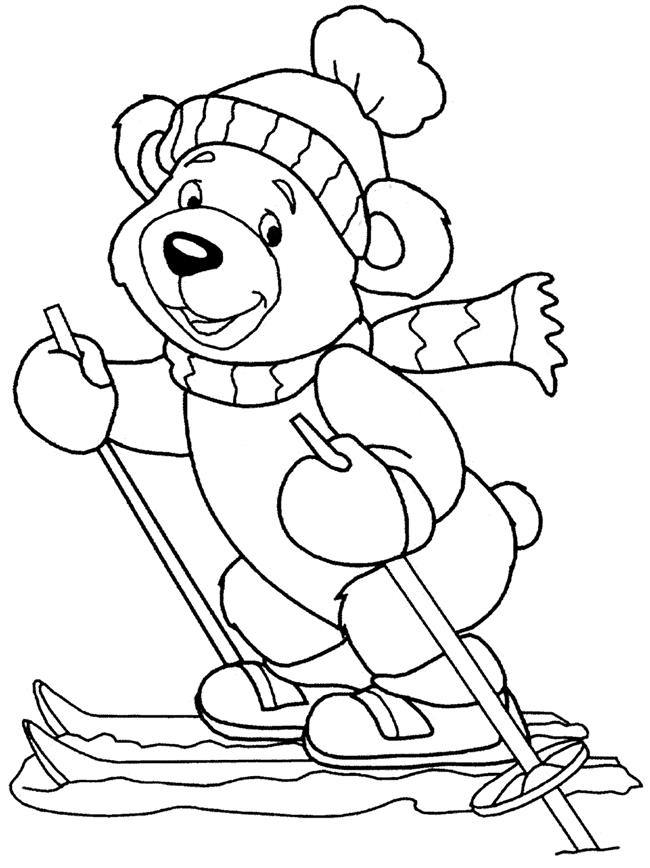 Urso fofinho esquiando