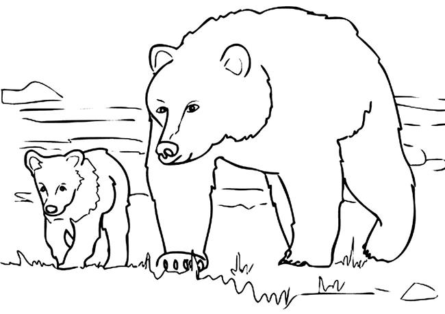 Mamãe urso para colorir