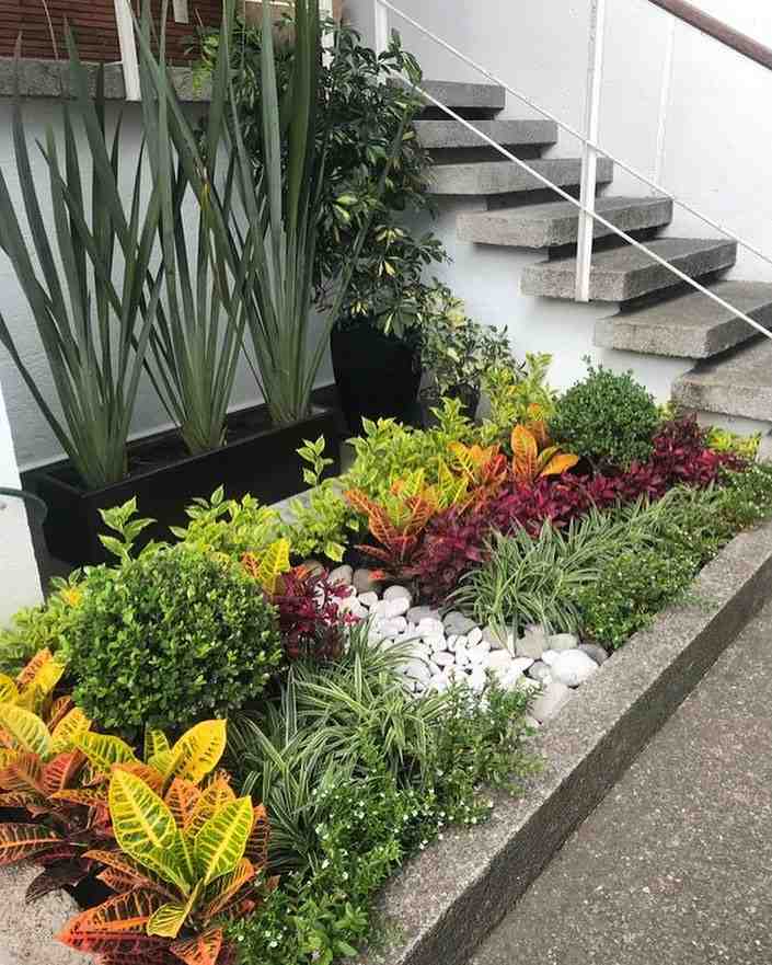 Jardim com várias plantas