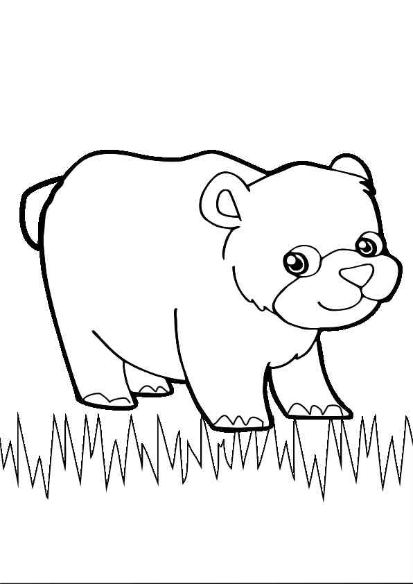 desenho de urso para colorir