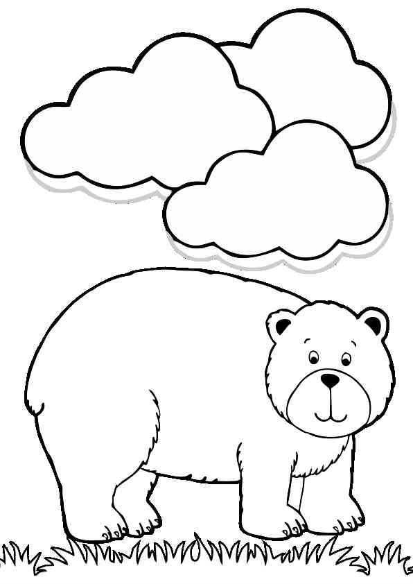 Desenhos de urso polar