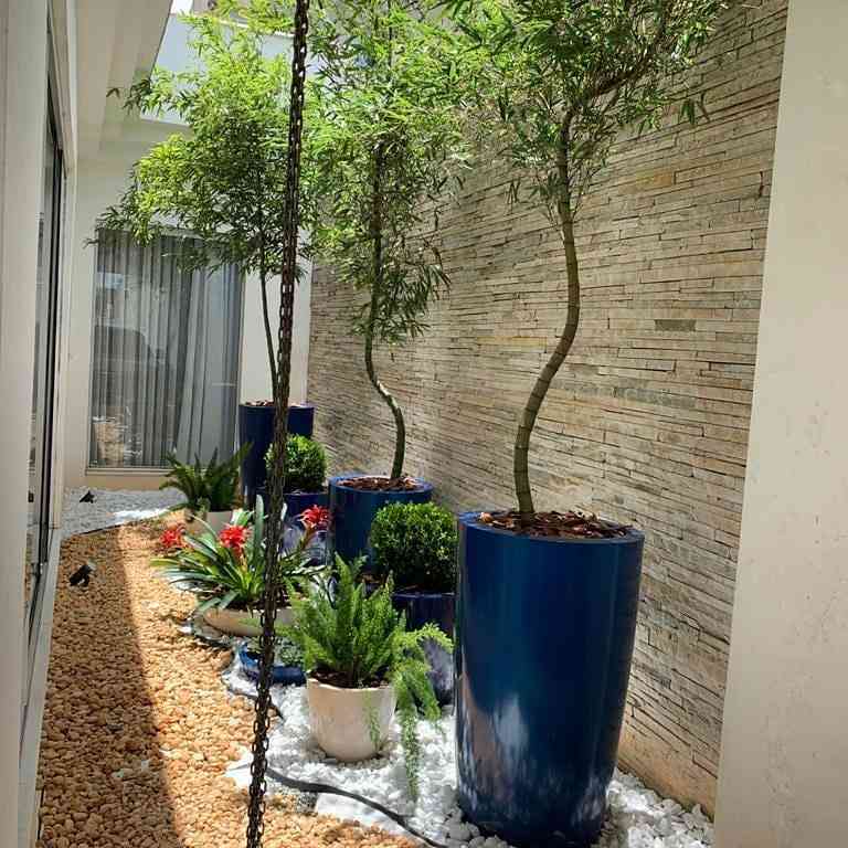 Jardim de inverno com vasos de plantas