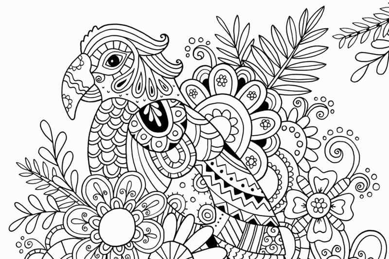 75 Desenhos para colorir Pintar para adulto, lindos desenhos para relaxar  75 folhas A5 Arteterapia