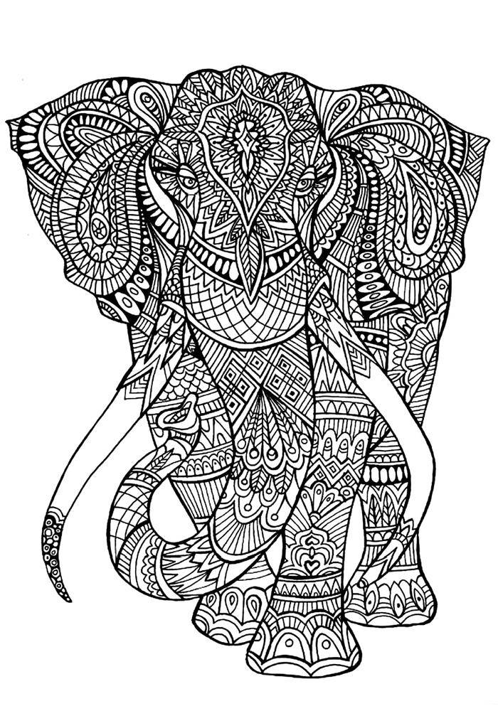 desenho de elefante para colorir