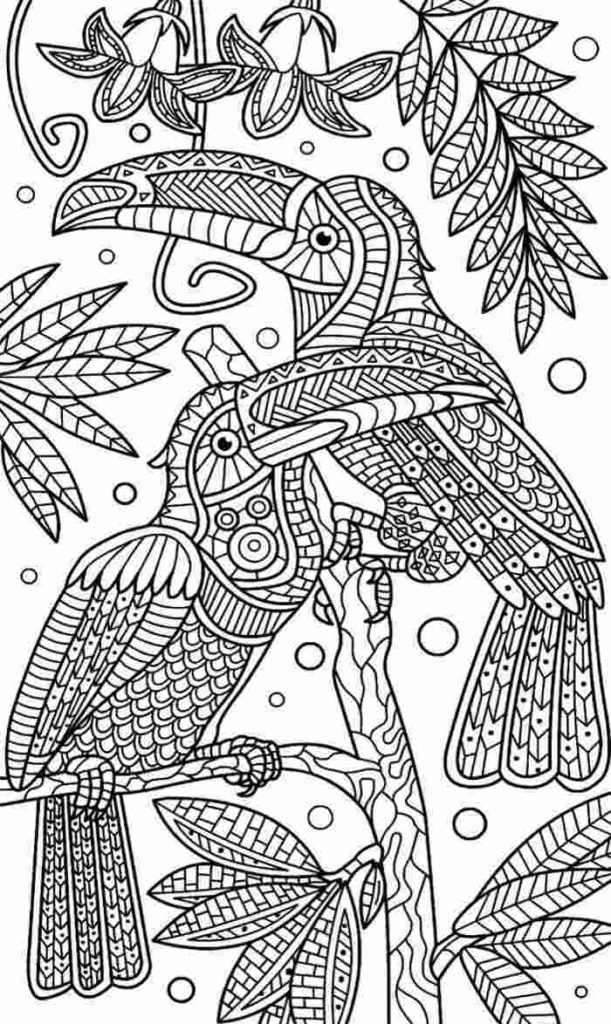 Desenhos para adultos colorir: 50 imagens ideais para relaxar ...