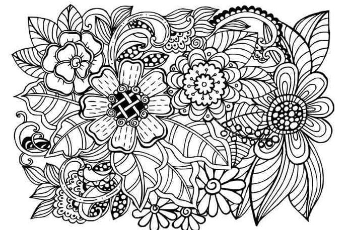 900+ melhor ideia de Desenhos para colorir adultos em 2023  desenhos para colorir  adultos, desenhos para colorir, colorir