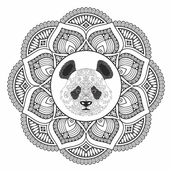 panda