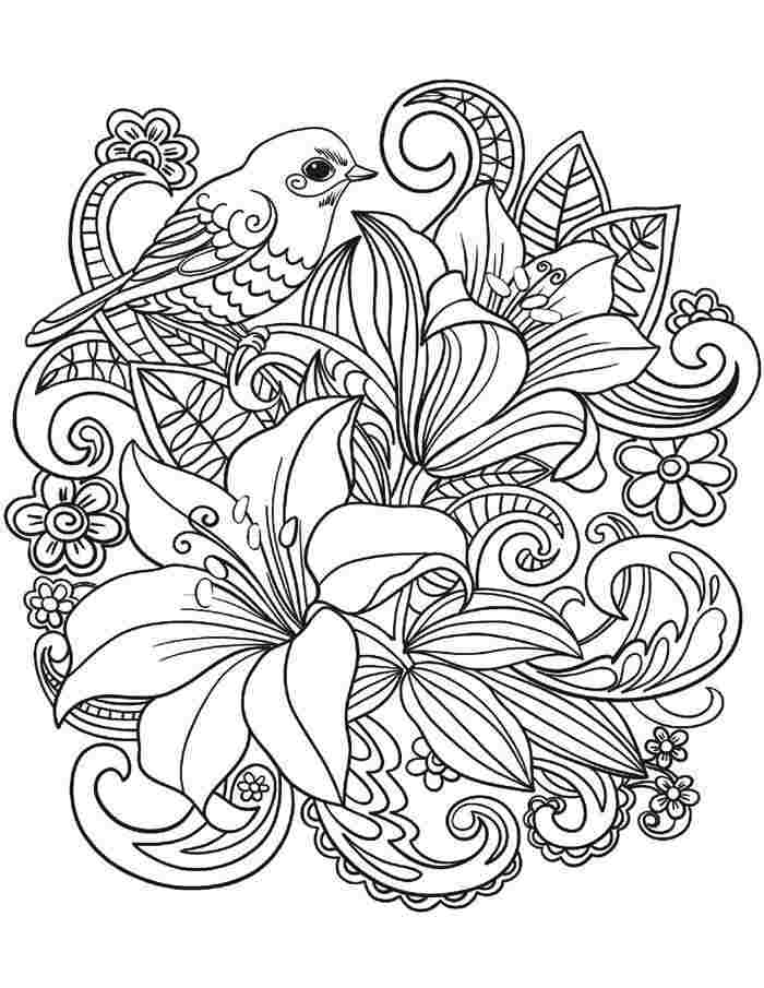 60 Desenhos Flores E Pássaros para colorir pintar em FOLHAS SOLTAS A5 para  adultos, Lindos Desenhos para Relaxar Arteterapia