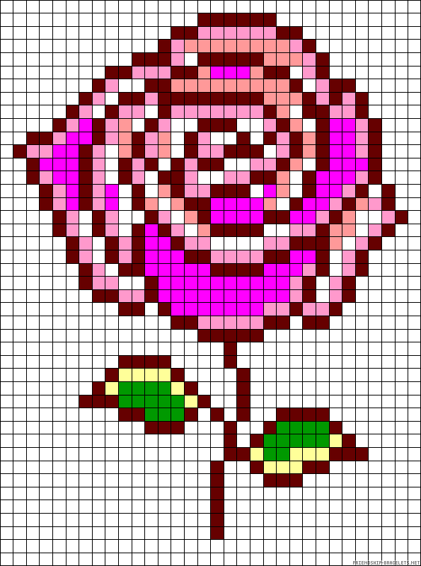 rosa
