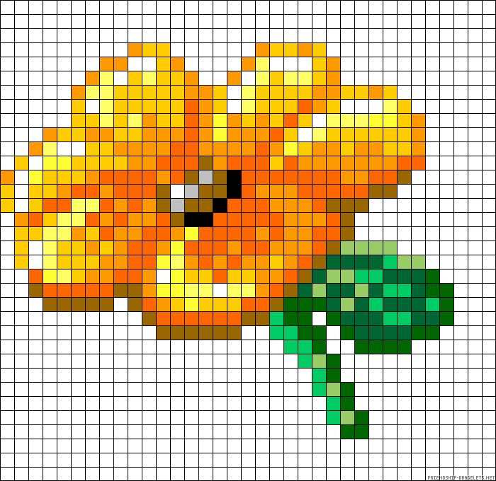 flor laranja e amarelo